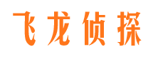 景东寻人公司